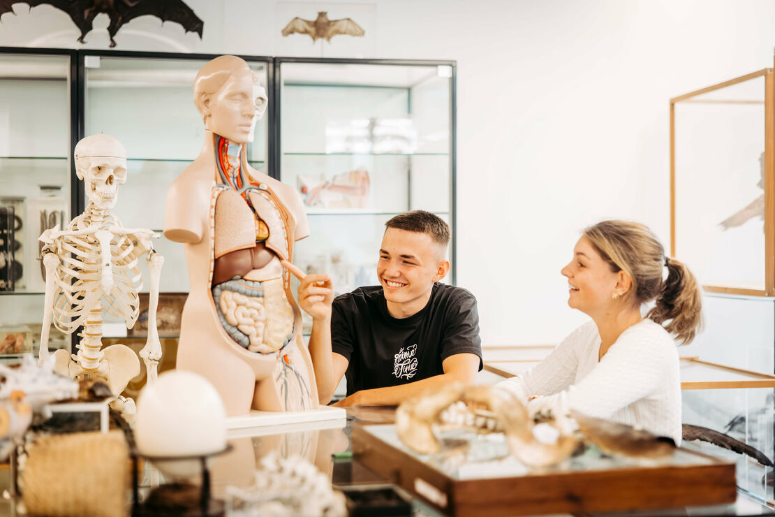 collegium-bernardi_v2-neu_fs25-606