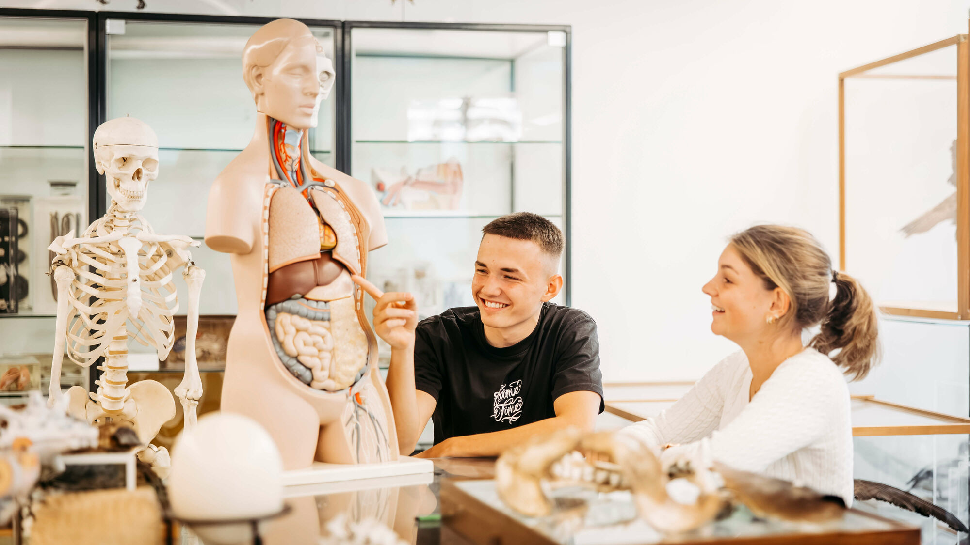 collegium-bernardi_v2-neu_fs25-606