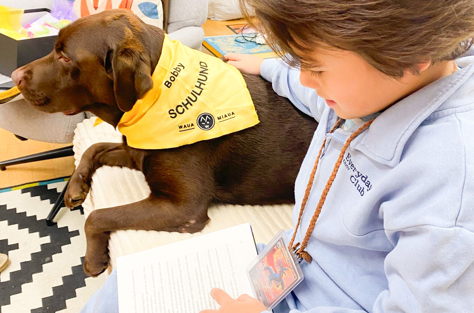 Schulhund Bobby_Labrador_Volksschule Mehrerau_1