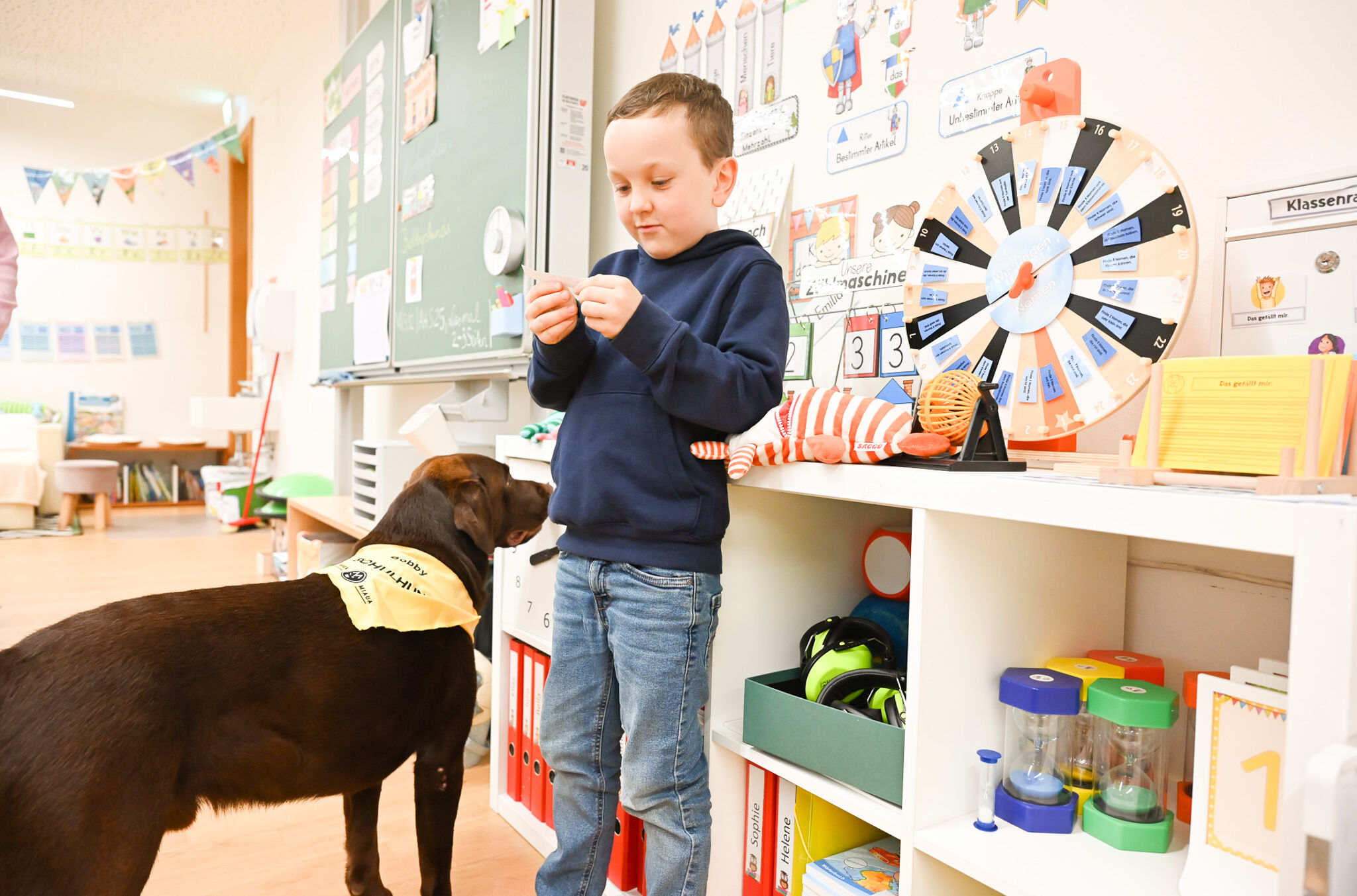 Schulhund Bobby_Labrador_Volksschule Mehrerau_2