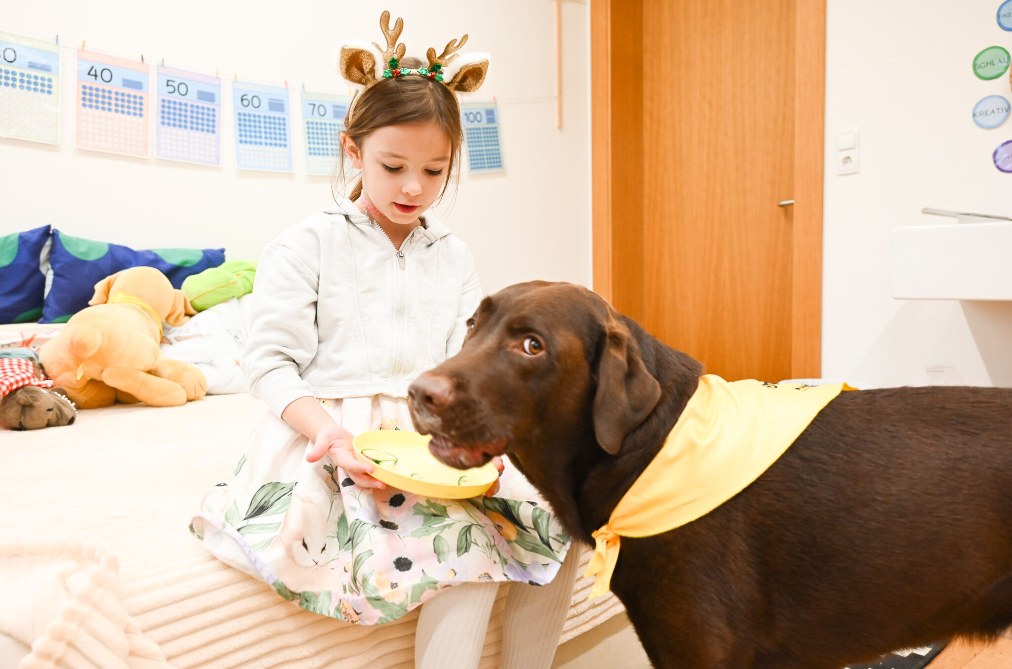 Schulhund Bobby_Labrador_Volksschule Mehrerau_4