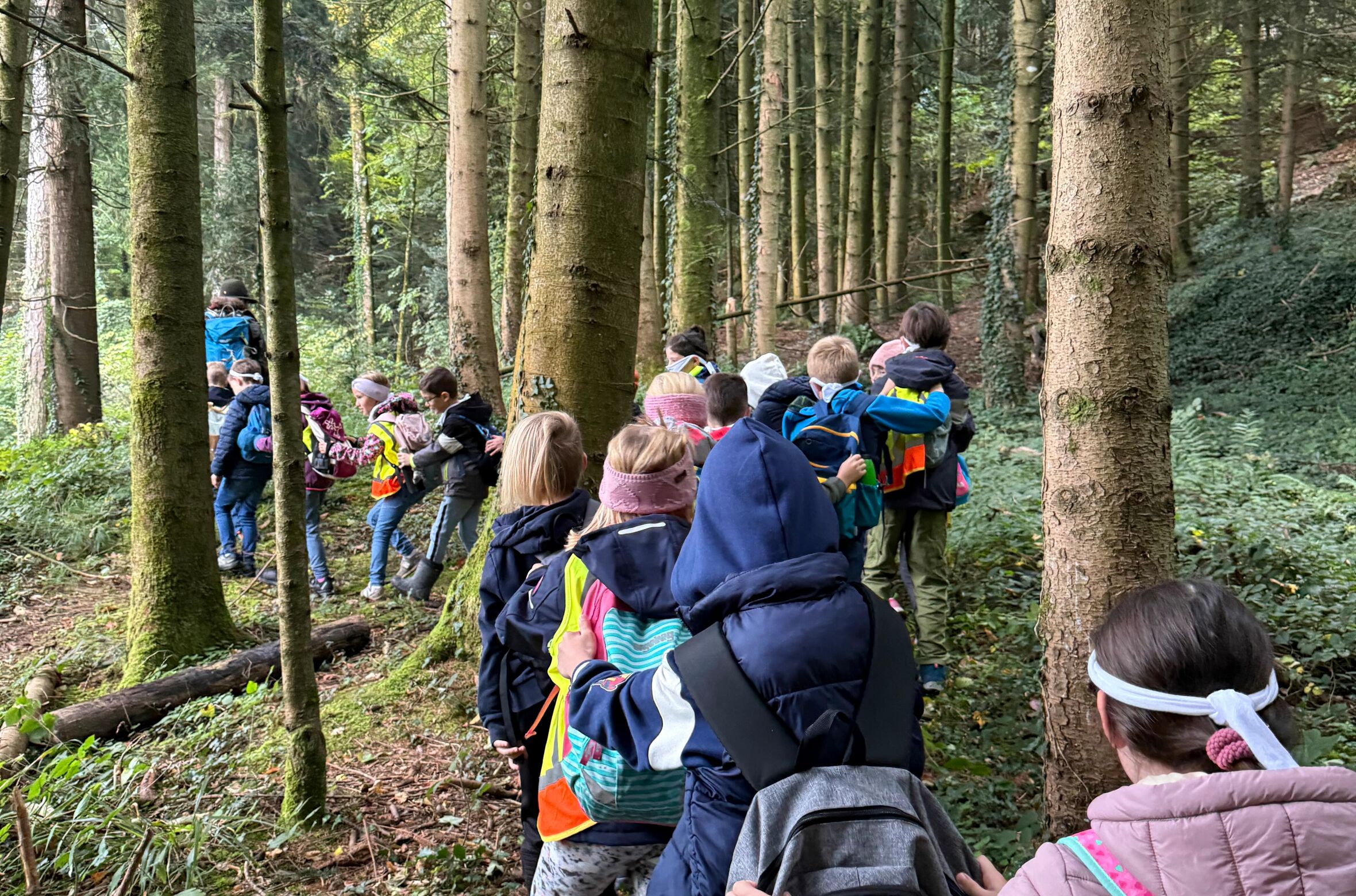 CB_Waldtag_2025_05