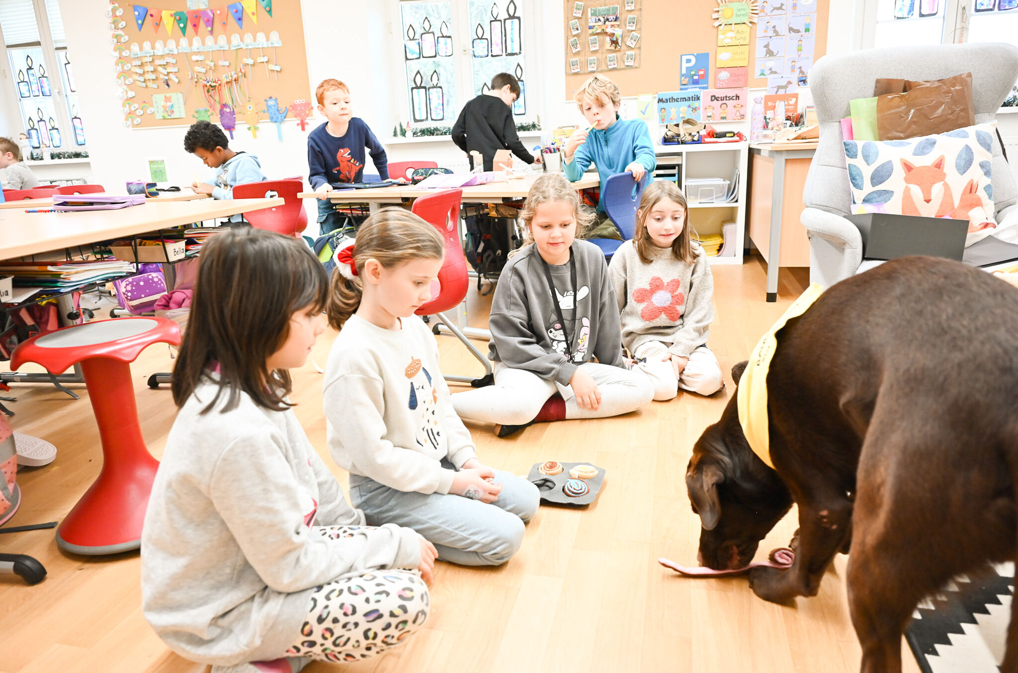 Schulhund Bobby_Labrador_Volksschule Mehrerau_5