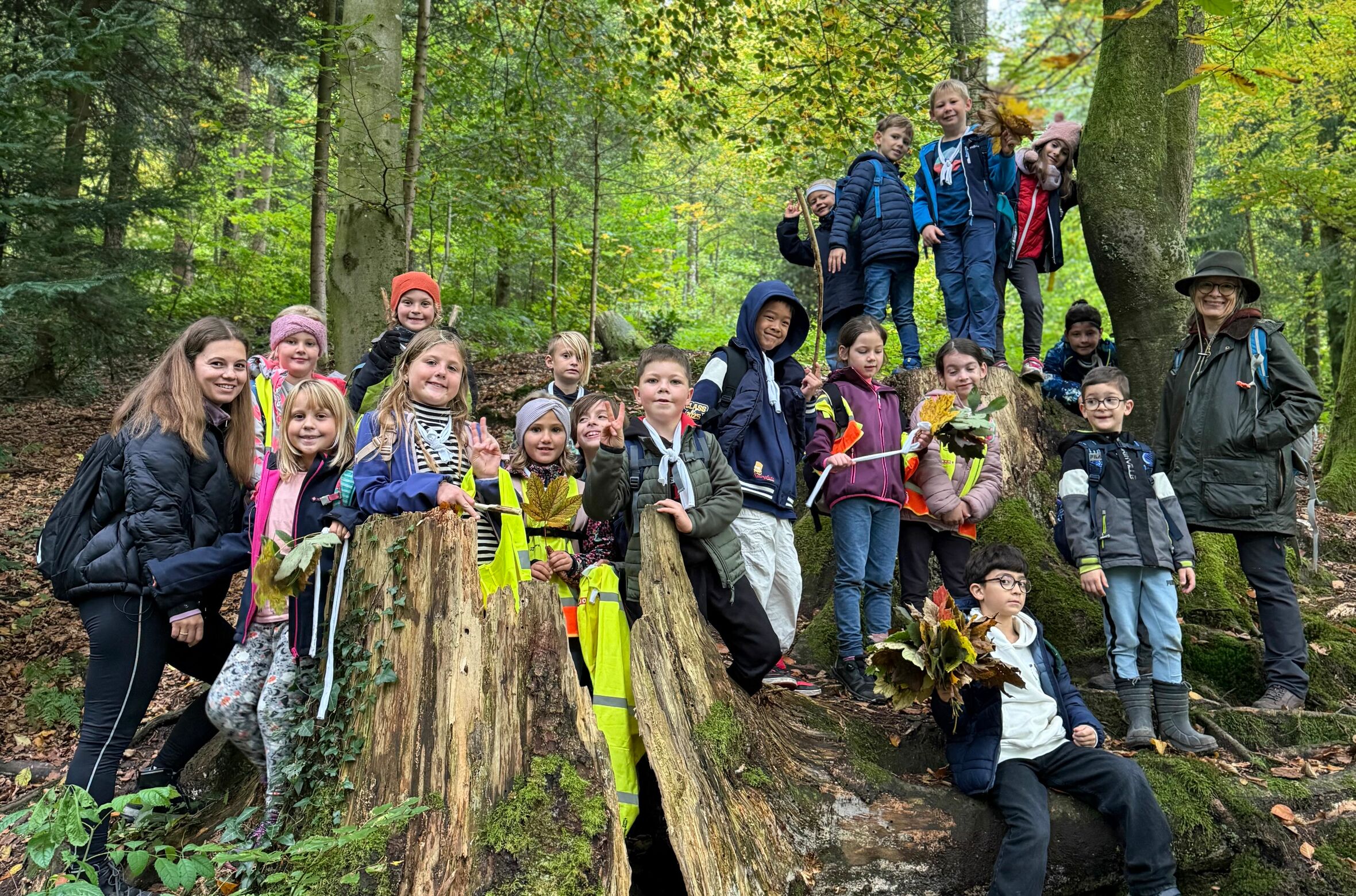 CB_Waldtag_2025_00